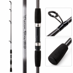 Fishing Rod Spinning
