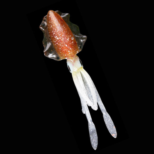 Game Fishing Lures 60g Slayers - Mongrel Fishing Tackle