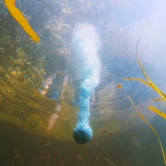 Baitcloud Twins Multi Species - Mongrel Fishing Tackle