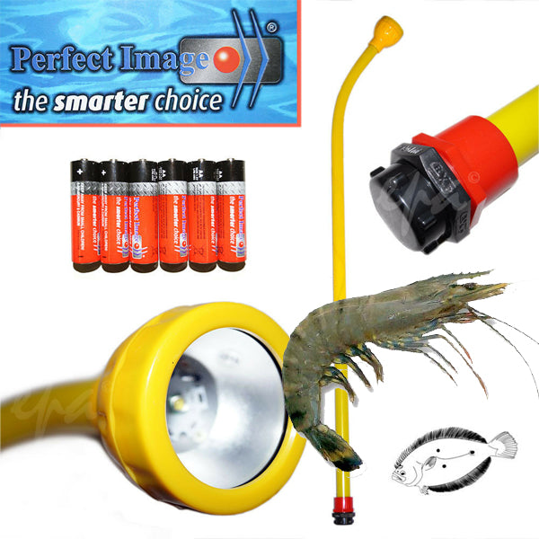 Prawn Flounder Gar Fish Sqiud LIGHT