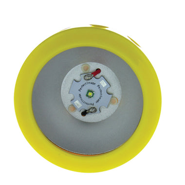 Prawn Flounder Gar Fish Sqiud LIGHT