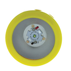 Prawn Flounder Gar Fish Sqiud LIGHT